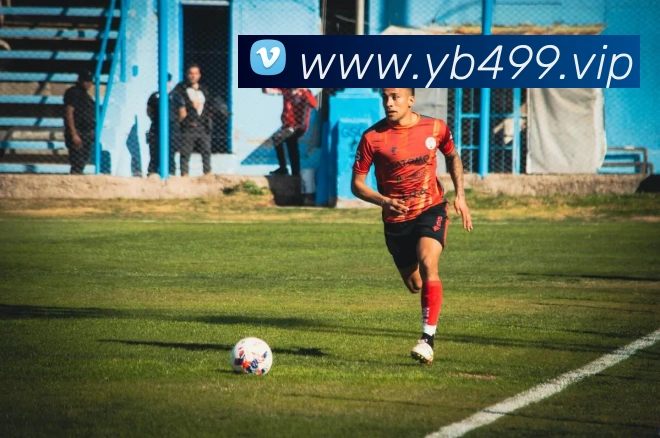 企业概况